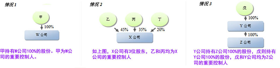 重要控制人示例